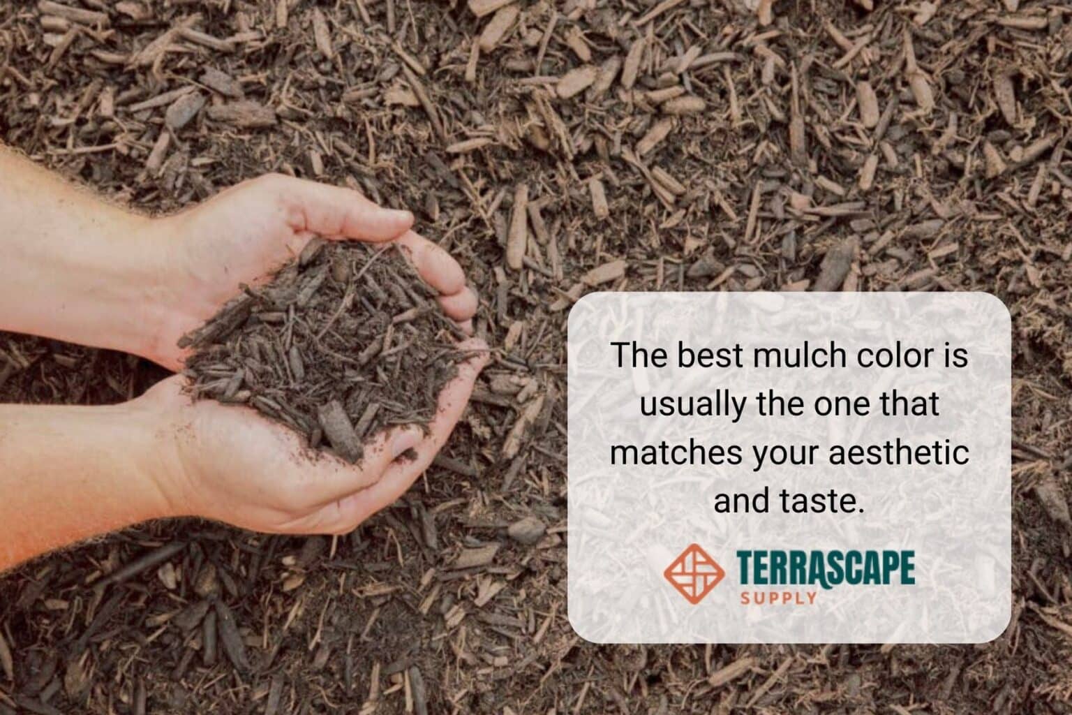 The Art of Mulch Using Colors to Enhance Your Landscape Terrascape