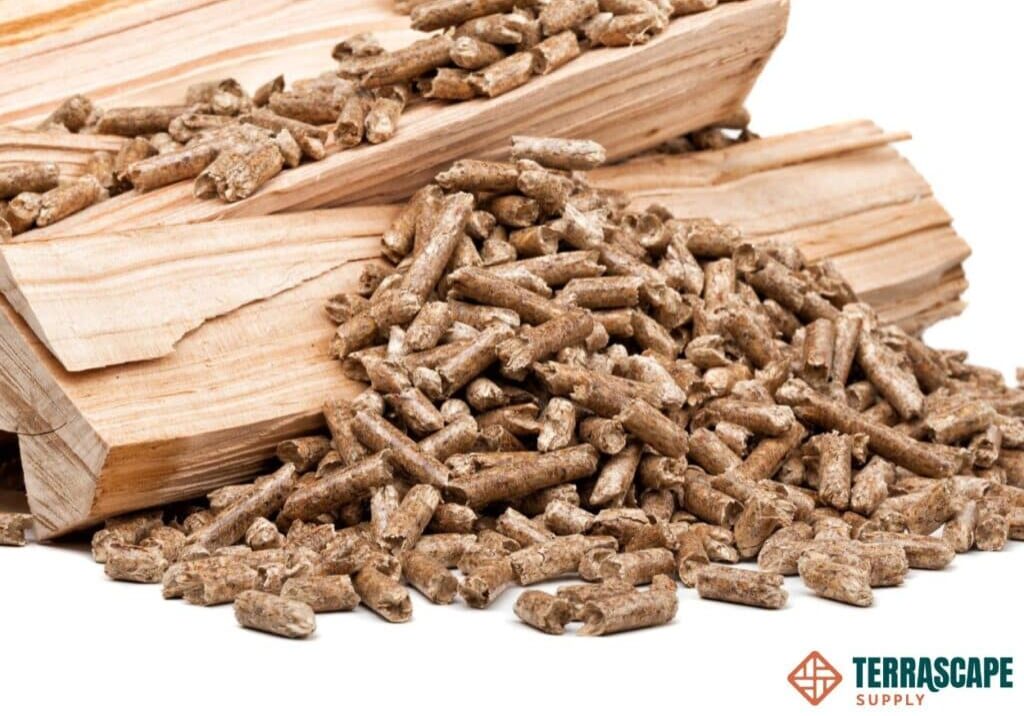 Header Image Resized