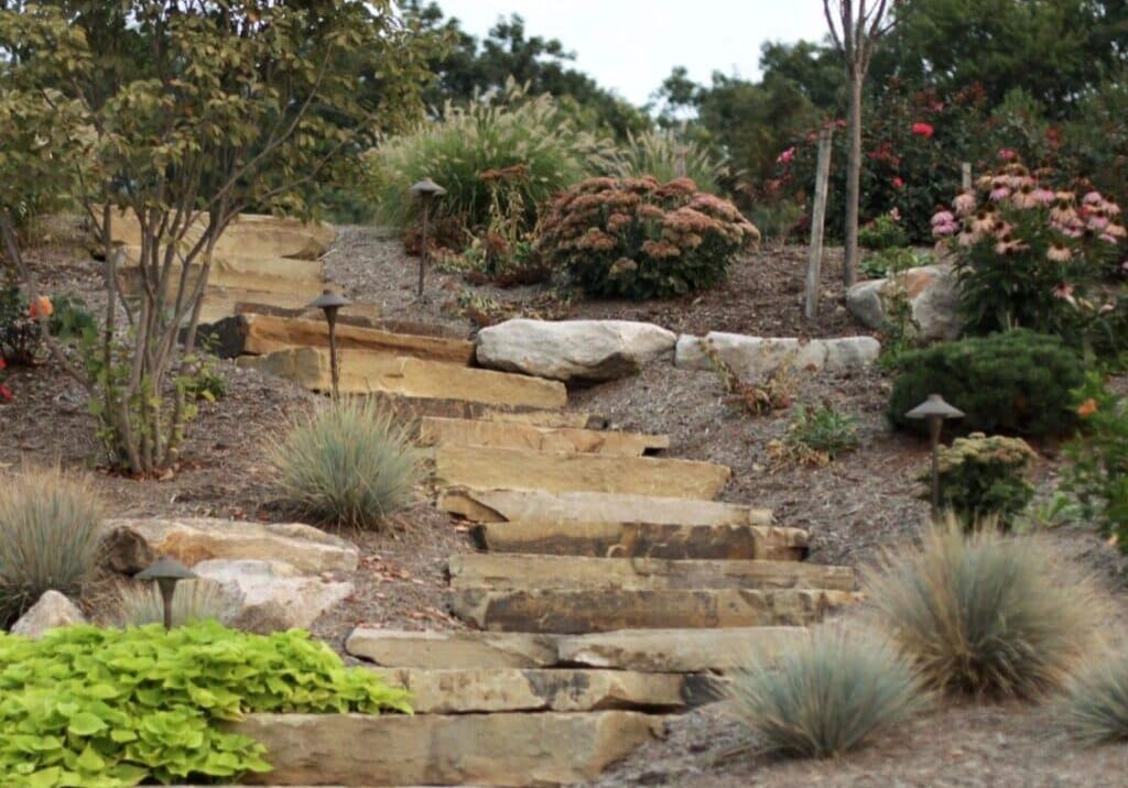 Header Image Resized